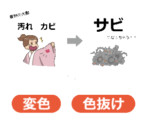 カビの原因